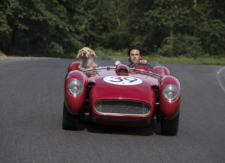 “Attraverso i miei occhi”: il mondo visto con gli occhi di un cane