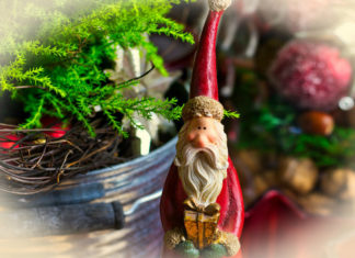 CONSIGLI DI LETTURA DAI 3 ANNI | Tre storie illustrare su Babbo Natale