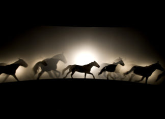 “Time of the untamed”: il re dei cavalli Bartabas racconta la sua leggenda