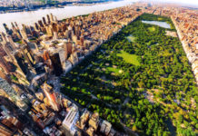 “Cercando Grace Kelly”: recensione del romanzo di Michael Callahan