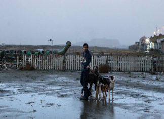 “Dogman”: Marcello Fonte strepitoso nel noir di Matteo Garrone