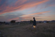 “Nomadland”: il ritratto dell’America attraverso la storia di una donna