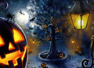 CONSIGLI DI LETTURA DAI 3 ANNI | Tre albi “da brivido” per Halloween