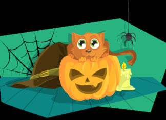 CONSIGLI DI LETTURA DAI 6 ANNI | Tre libri “da brivido” per Halloween