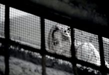 “Il prigioniero”: un cortometraggio brillante di Federico Olivetti