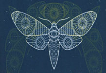 “La musa degli incubi”: si conclude la duologia fantasy del Sognatore