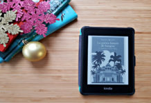 “La pietra lunare di Satapur”: recensione del libro di Sujata Massey