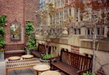 LIBROMANIA: New York, New York