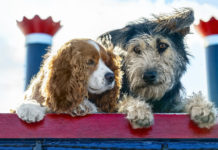 “Lilli e il Vagabondo”: una storia sempre attuale e coinvolgente