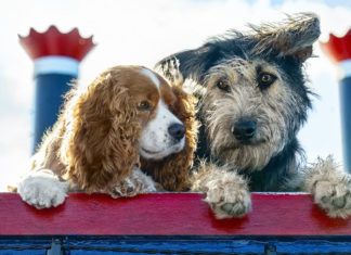 “Lilli e il Vagabondo”: una storia sempre attuale e coinvolgente