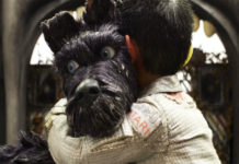 “L’isola dei cani”: Wes Anderson a tutta fantasia e creatività