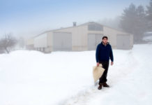 “Only the animals”: un noir psicologico, articolato e ambizioso