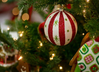 CONSIGLI DI LETTURA DAI 3 ANNI | Storie da leggere sull’albero di Natale