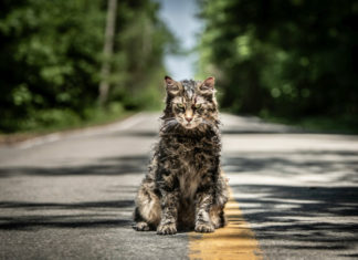 “Pet sematary”: il cimitero degli animali di Stephen King prende vita