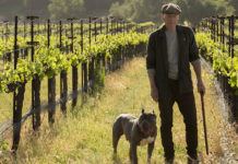 “Star Trek – Picard”: nuova serie del franchise che sorprende in positivo