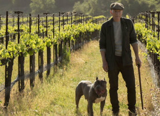 “Star Trek – Picard”: nuova serie del franchise che sorprende in positivo