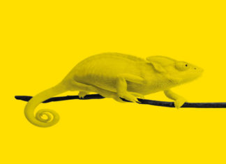 Pordenonelegge: tutto quello che c’è da sapere sulla XX edizione