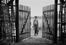 “The painted bird”: lunghezza estenuante e un bianco e nero da urlo