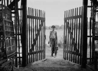 “The painted bird”: lunghezza estenuante e un bianco e nero da urlo