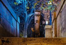 “Trash – La leggenda della piramide magica”: un’avventura ecologica