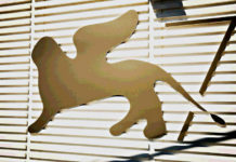 Cartoline da Venezia 77: vivere il Festival in tempo di pandemia