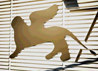 Cartoline da Venezia 77: vivere il Festival in tempo di pandemia