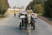 “Yomeddine”: un buon esordio, con attori non professionisti solo di nome