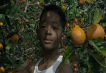 “Burning cane”: un gruppo di disperati e la natura bella e crudele