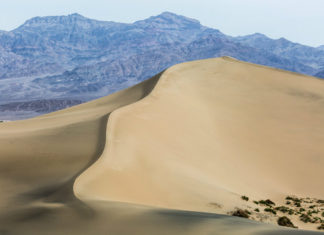 I FANTASTICI 4 | I migliori documentari sul pianeta Terra