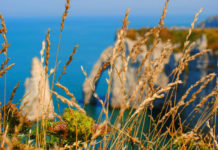 Normandia e Bretagna “da lettori” in una serie di itinerari a tema