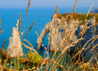 Normandia e Bretagna “da lettori” in una serie di itinerari a tema