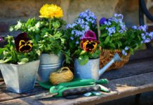 Giardini e orti domestici: come creare il proprio “angolo verde” in città