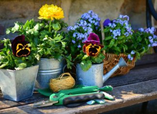 Giardini e orti domestici: come creare il proprio “angolo verde” in città