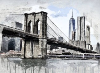 “Gli accoppiati”: recensione del libro di Jennifer Miller e Jason Feifer