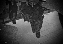 “Memorie di un bravo ragazzo sotto la pioggia”: il libro di Flavio Canfora