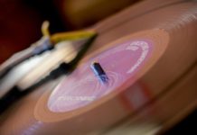 “Amore, vinile e polvere”: recensione della raccolta di Beatrice Maffei