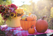 “Jalna”: recensione del romanzo di Mazo de la Roche edito da Fazi