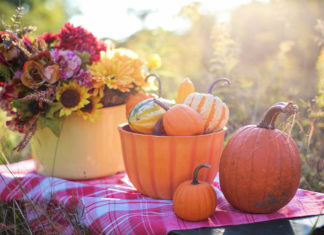 “Jalna”: recensione del romanzo di Mazo de la Roche edito da Fazi