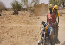 “The roundup”: incursione agrodolce nella vita dei rivoluzionari sudanesi