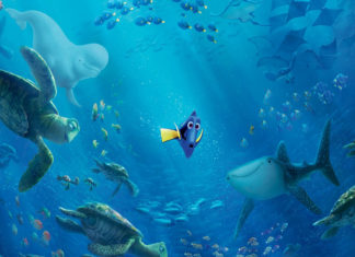 “Alla ricerca di Dory”: disabilità e convivenza coi propri limiti nel film Disney Pixar