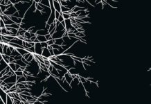 Anna, Niccolò Ammaniti