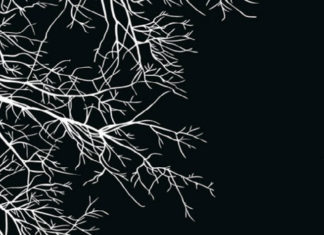 Anna, Niccolò Ammaniti