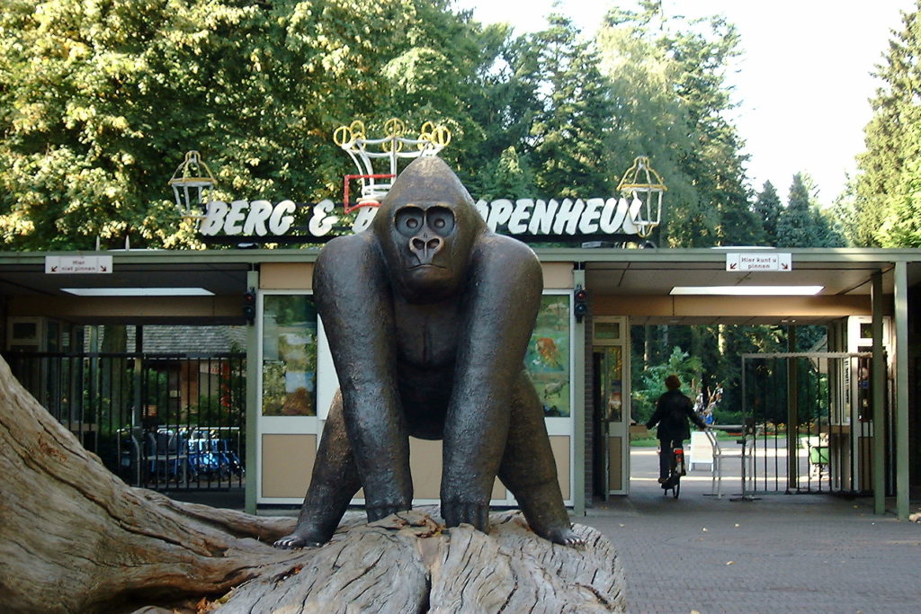 Apenheul, il parco delle scimmie. Apeldoorn, Olanda. 