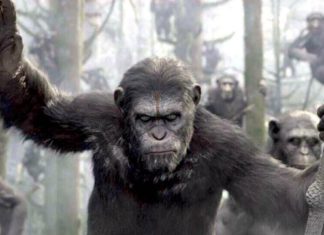 I FILM TV DELLA SETTIMANA: uno sguardo sul cinema dal divano di casa