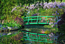 “Ninfee nere”: recensione del romanzo di Michel Bussi edito da E/O