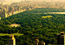 Central Park, Guillaume Musso