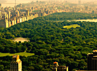 Central Park, Guillaume Musso