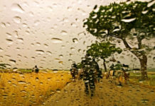 “C’era una volta la terra”: racconto del Molise contadino di oggi e di ieri