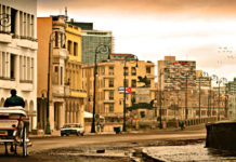 Intervista a Maria Cristina Sferra