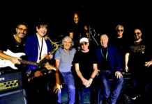 Dire Straits Legacy: seguendo il Bianconiglio dentro il Tunnel of Love